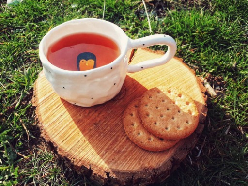 فنجان پنگوئنی