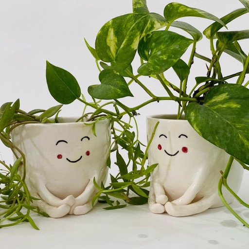 گلدان لبخند|پیلکا